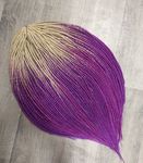 Набор DEдред А40