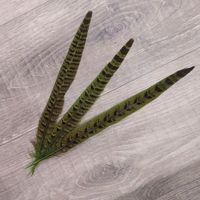 Перья (украшения) набор 3 шт 